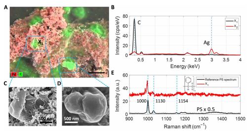 科學家研發氣泡沉積技術，首次揭示海水中納米塑料的形態