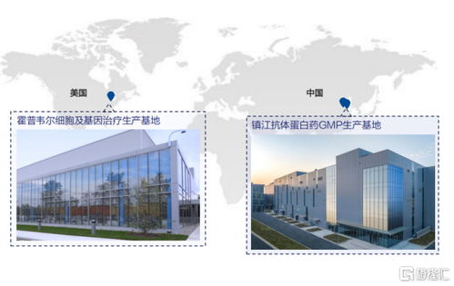 金斯瑞生物科技 營收大增81.9%，經調凈利增速超5倍，展現卓越盈利韌性